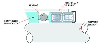 Centrifugal Non Contact Seal Diagram