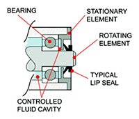 Typical Lip Seal Diagram